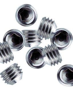 Whitecap 1/4"-28 Thread SS Set Screws - 10 Pack [6249C]